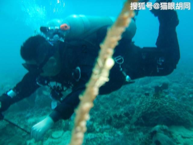 莎木1+2